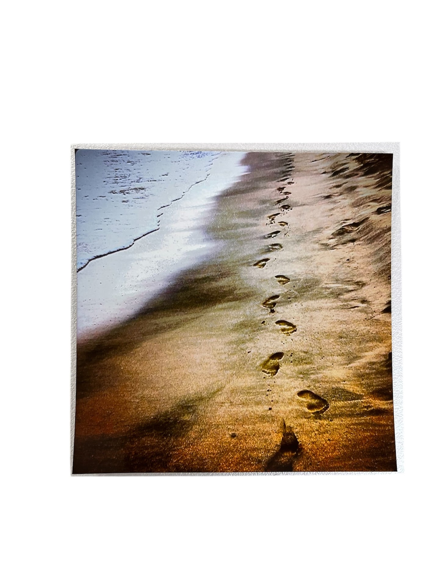 Un paseo volando - Fotografía "DONDE UNA VEZ CAMINASTE"