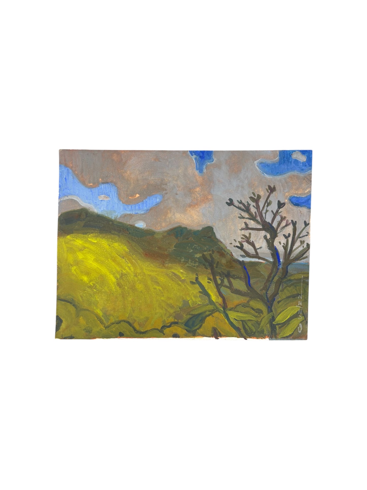 Gerardo Vélez - OBRA ORIGINAL "ESTUDIO DEL YUNQUE"