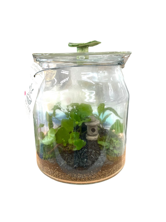 Vida Verde - TERRARIO GRANDE