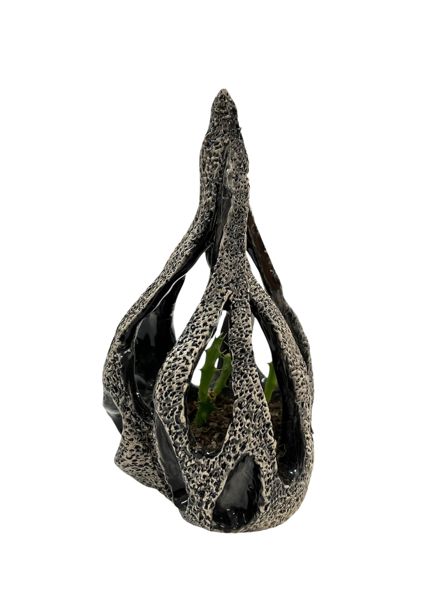 Axa Aurora - ESCULTURA "FUEGO NEGRO"