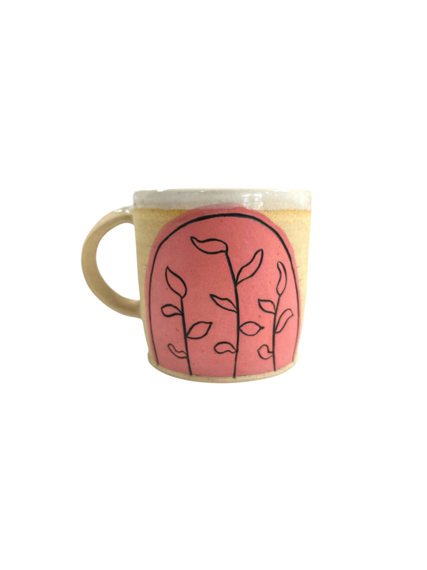 House of Dirt - TAZA / FLORES / ROSA