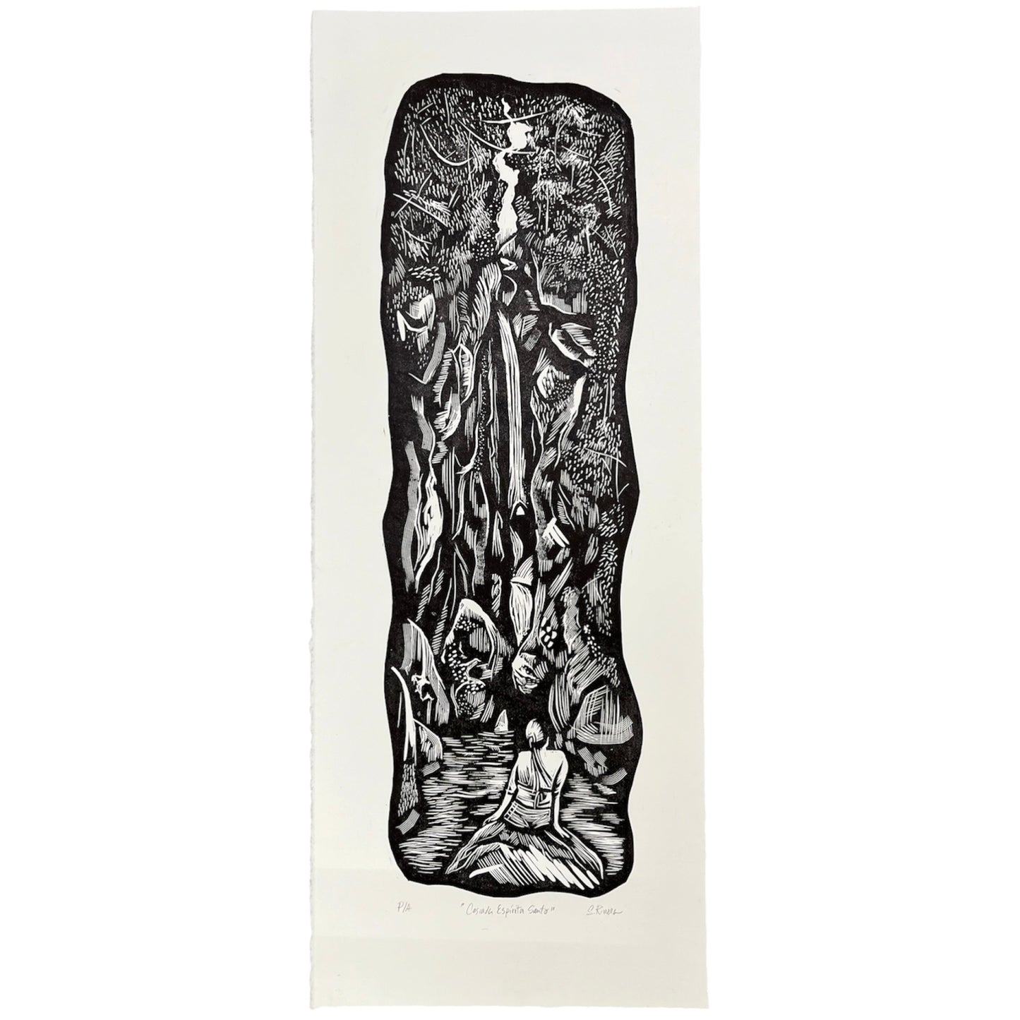 Steven Rivera - OBRA ORIGINAL "CASCADA ESPÍRITU SANTO"