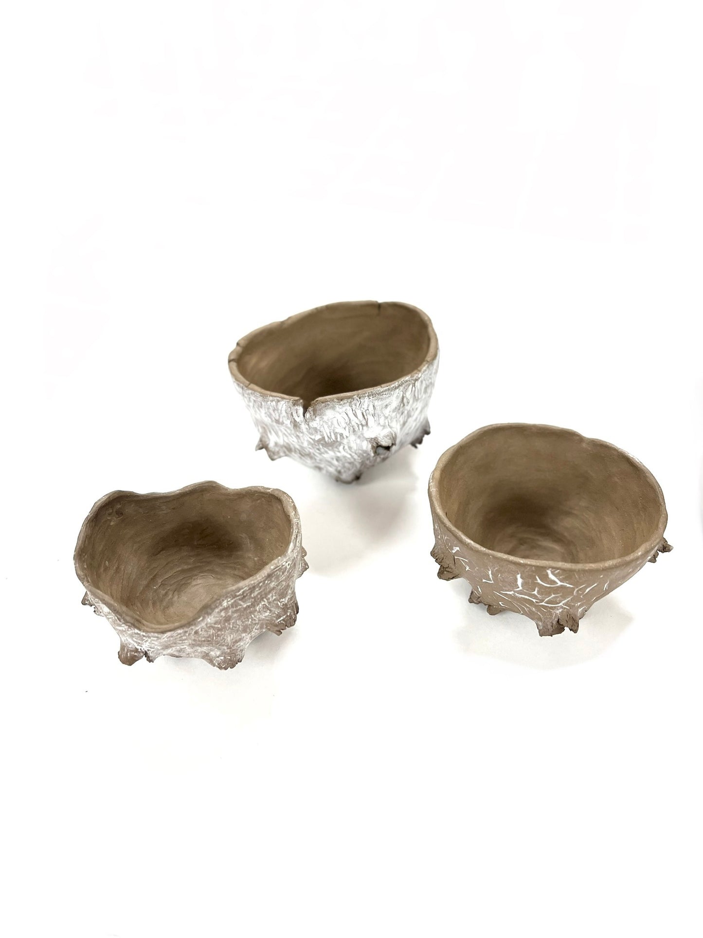 Vida Verde - SET DE BOWLS “CUENCOS SEMILLAS”