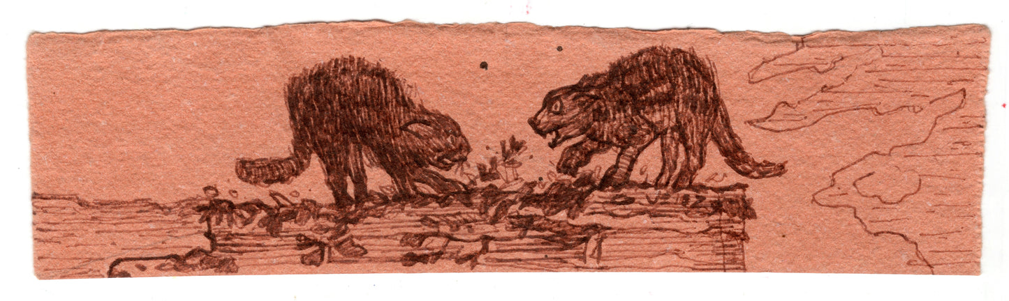 Gerardo Vélez - DIBUJO "RIÑA DE GATOS"