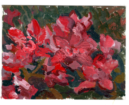 Gerardo Vélez - GOUACHE "ABSTRACCIÓN FLORAL"